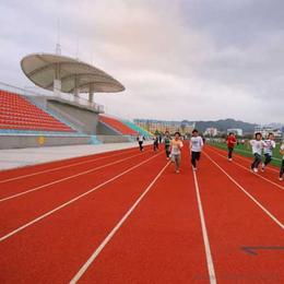拼裝運動地板供應與批發指南 產品、價格與選購渠道