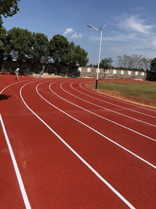 塑膠場地預(yù)制型跑道卷材 廠家報(bào)價(jià)與鞋透氣性能解析