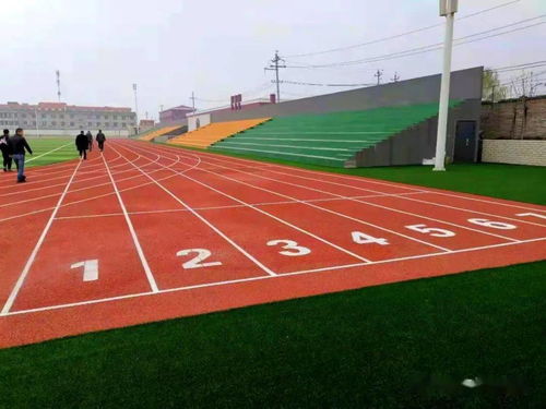 《學(xué)校運(yùn)動(dòng)場(chǎng)地合成材料面層推薦目錄（2021-2022）》產(chǎn)品展播 塑膠場(chǎng)地預(yù)制型跑道卷材