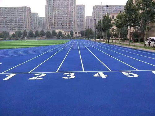 聊城高唐 預(yù)制型塑膠球場(chǎng)與跑道卷材的專業(yè)制造與應(yīng)用