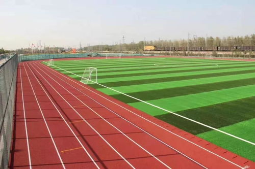 預制型塑膠跑道 產品特性與造價深度解析
